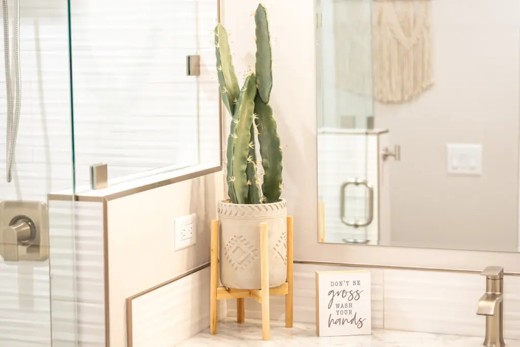 125482 382617 AUqzMNRO ssyN Rlk8got36OmdWRbfX6SwFpgKMSkTw 69177f6284c1d.jpg