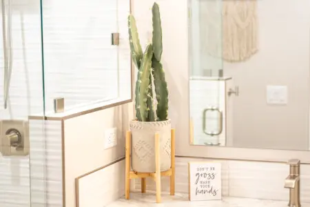 125482 382617 AUqzMNRO ssyN Rlk8got36OmdWRbfX6SwFpgKMSkTw 69177f6284c1d.jpg