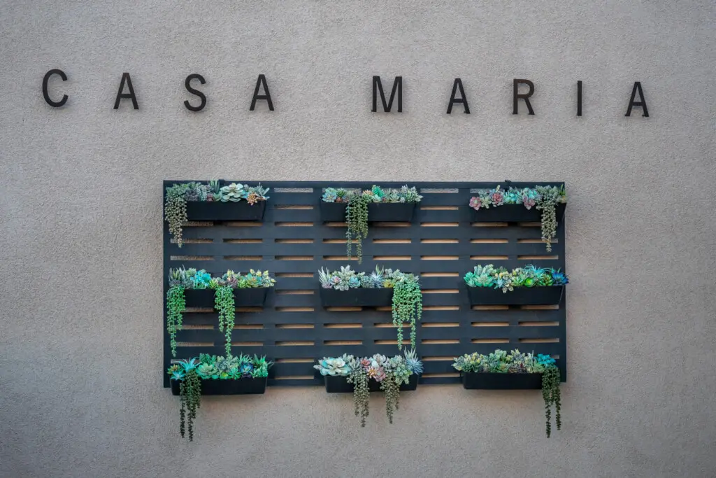 125482 382617 VWgxuT1T8cyt8zCSPh2FLf q8zVKYNtlrY6BEZSkt64 69177f10408bd.jpg