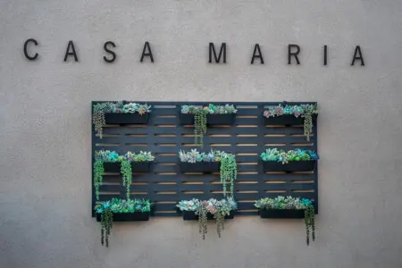 125482 382617 VWgxuT1T8cyt8zCSPh2FLf q8zVKYNtlrY6BEZSkt64 69177f10408bd.jpg