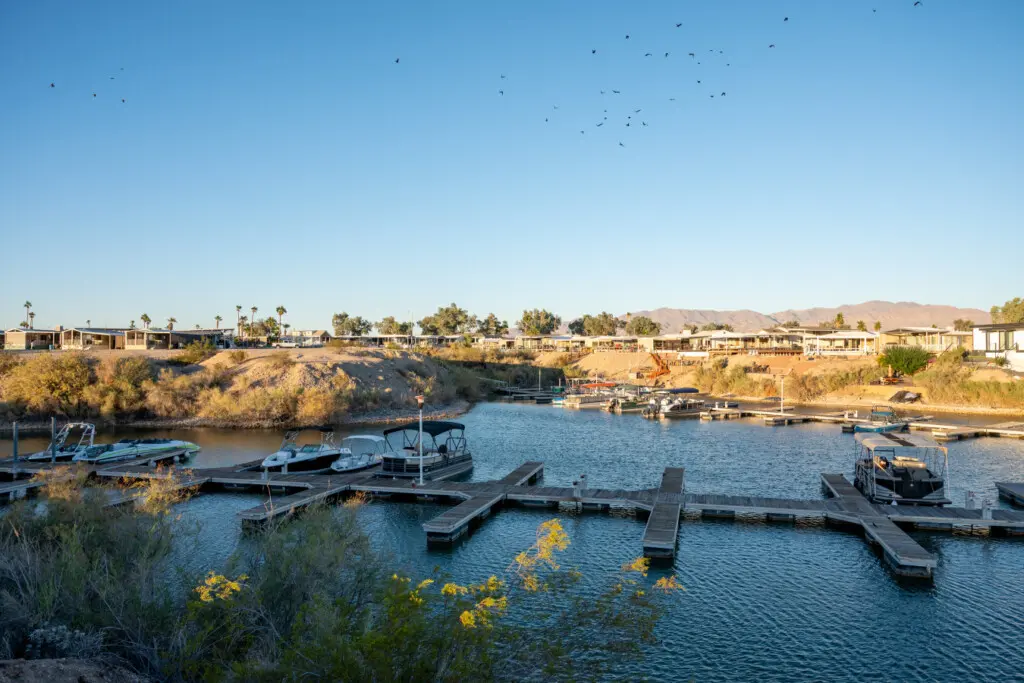 125482 403908 ZH treEzOKzxqxHuFY6KDAlxTaY88tFi51VOxXwfkA8 6917a39f73806.jpg